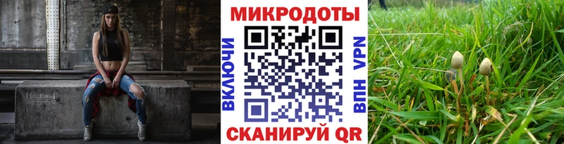 Псилоцибиновые грибы прущие грибы  Юрьевец 